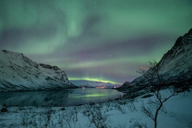 Auroras Hunt - Tour in Spanish, Northern Lights Chase in Spanish - Weather flexibility and the reality of Tromsø nights