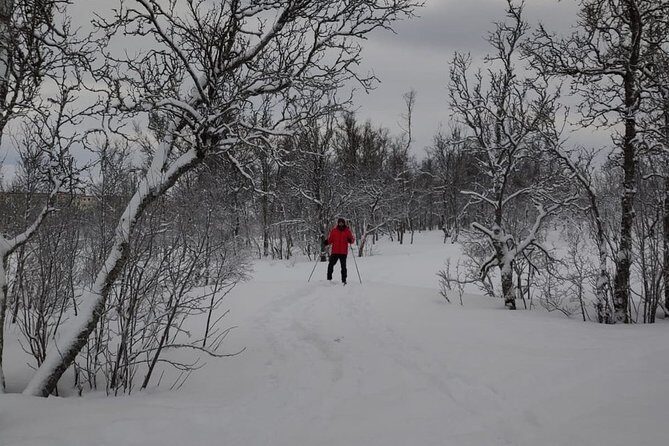 Cross-Country Ski Lesson for Beginners in Tromso - Gear, transport, and the hot drink plus lefse value math