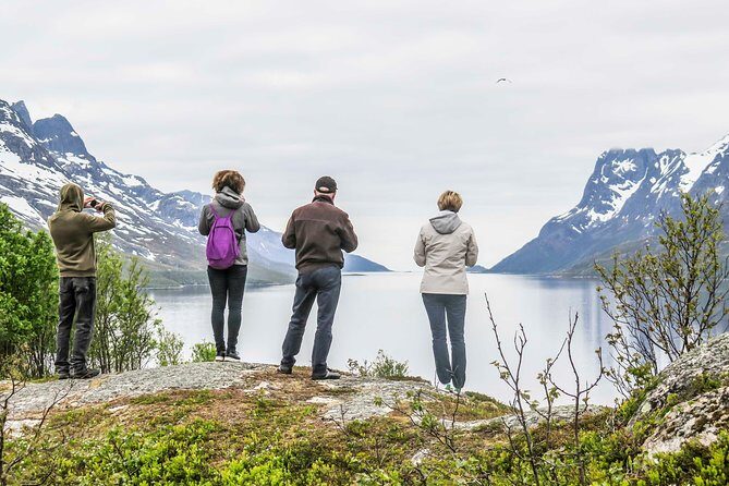 Discover the Fjords of Kvaloya - a roadtrip along fjords and fishing villages - Kvaløya Island stop: fjords, fishing villages, and photo pull-offs