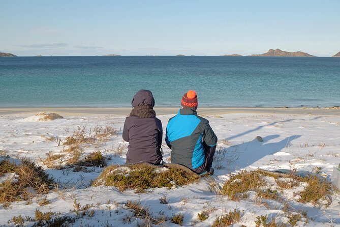 Discover the Fjords of Kvaloya - a roadtrip along fjords and fishing villages - Wildlife sightings: what you can hope to catch