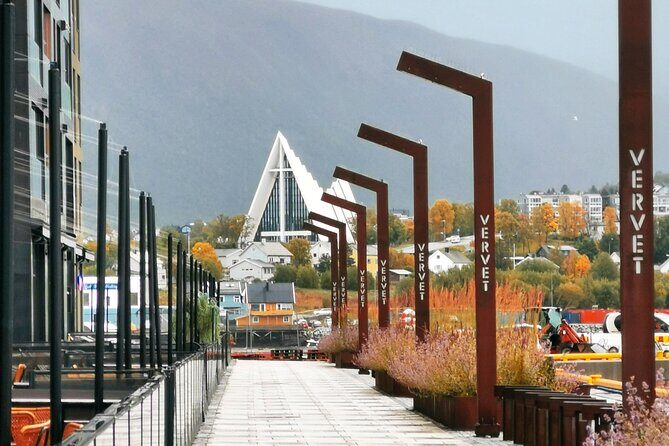 Discover the most Photogenic Spots of Tromsø with a Local - Key highlights to expect