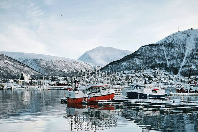 Discover the most Photogenic Spots of Tromsø with a Local - The real value: a photo walk you can actually use