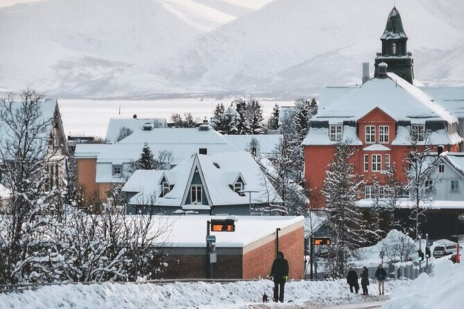 Discover the most Photogenic Spots of Tromsø with a Local - Start strong: Tromsdalen kirke’s glass mosaic and aluminum panels