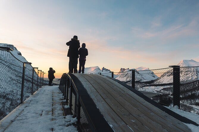 Discovery tour of the island of Senja and Kvaløya from Tromsø - Stop 2 on Kvaløya: whale island energy plus bridge views