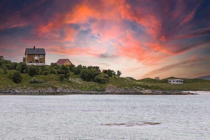 Discovery tour of the island of Senja and Kvaløya from Tromsø - The guides: what you gain beyond the view