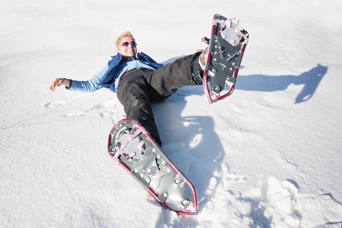 Eco friendly snowshoeing in Scenic Landscape - Riding in an Arctic TeslaX: the easy start that sets the tone
