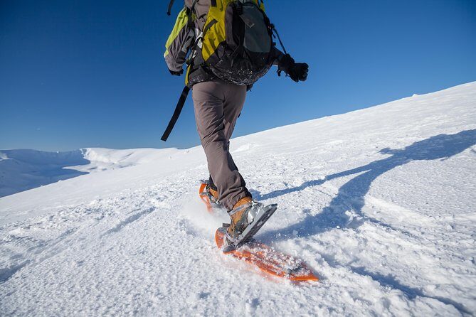 Eco friendly snowshoeing in Scenic Landscape - Prestvannet lake in winter: your snow time with a calm pace