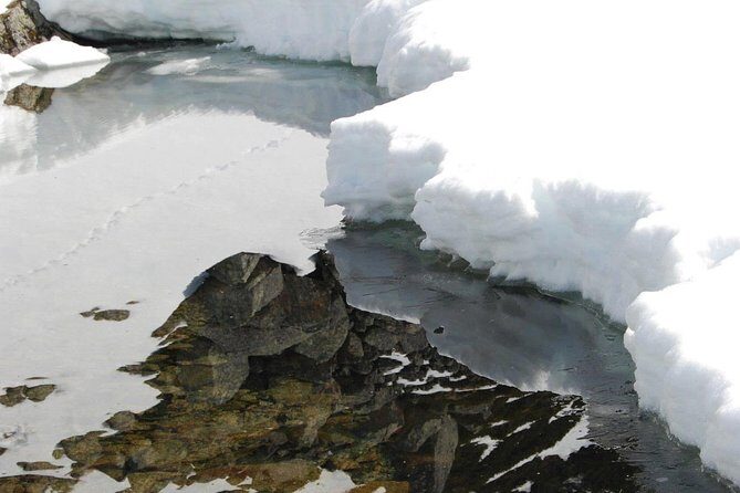 Eco friendly snowshoeing in Scenic Landscape - Wabi Sabi craft browsing and Magic Ice bar at the end