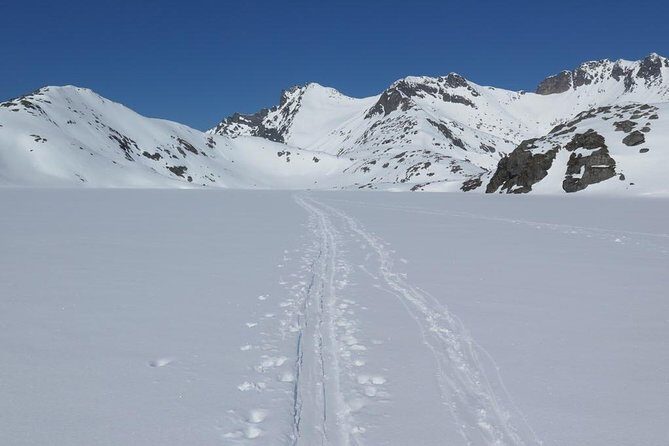 Eco friendly snowshoeing in Scenic Landscape - Polaria and Telegraf bukta: sea life, then open-air views