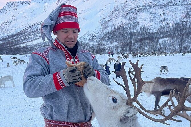 Exclusive Reindeers Experience in small groups, Tromso - Why the small-group size feels different in winter