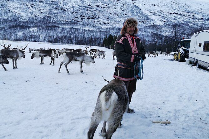 Exclusive Reindeers Experience in small groups, Tromso - What to buy on the grounds: handmade Sámi souvenirs that don’t feel generic