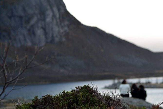 Fjord Expedition: Arctic Adventure Awaits - Cold Hands, Warm Socks, and the Mittens Rule That Saves Days
