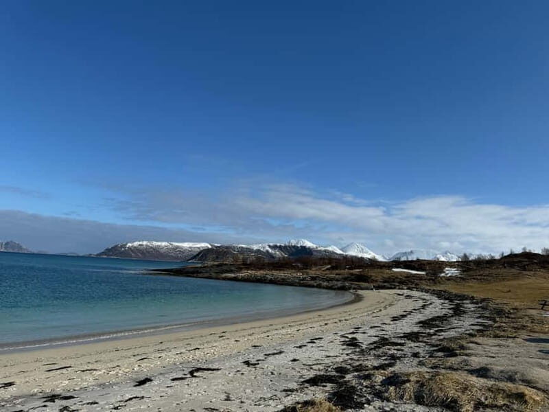 Fjord Foto Tour to Sommaroy (Roadtrip) - Price and value: is $159 worth it?