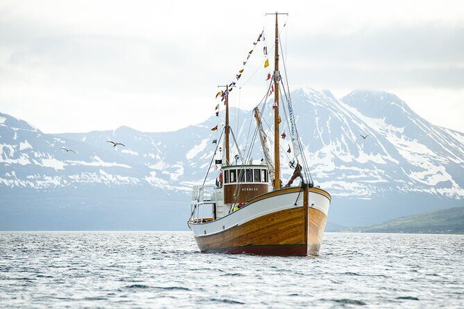 Fjord & History Cruise - The sail setup: Tromsø from the water on a classic boat