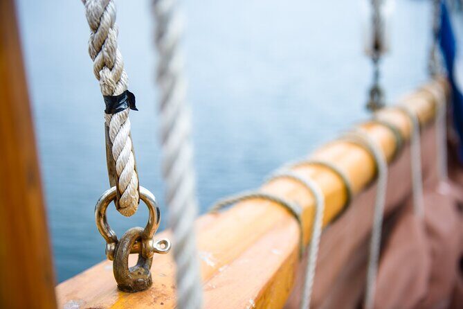 Fjord & History Cruise - Cold-weather comfort that actually helps (thermal suits and warm drinks)
