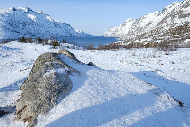 Fjord, Mountain and Wildlife Tour - Fjords, mountains, and a lot of viewpoint value
