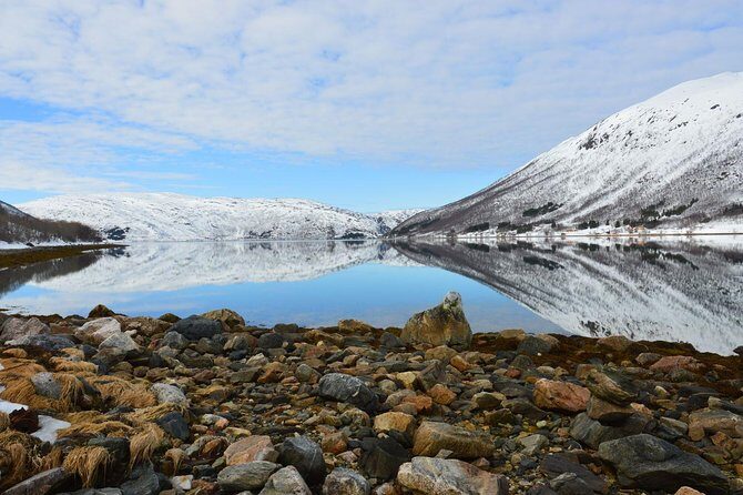 Fjord, Mountain and Wildlife Tour - Your guide and why small-group matters more in winter