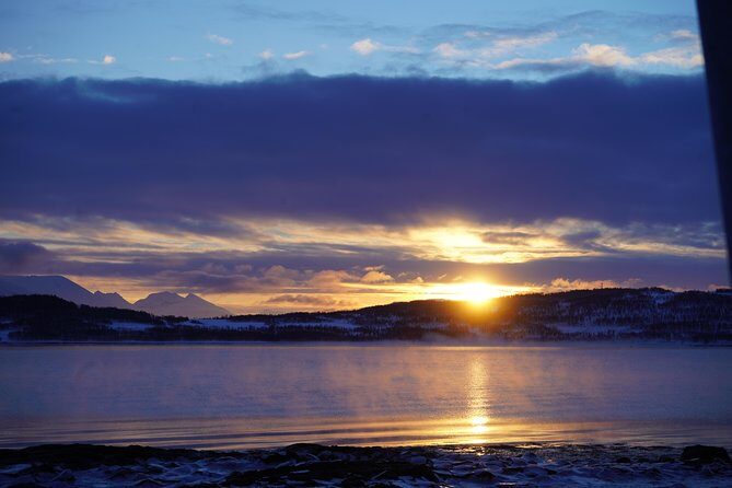 Fjord, Mountain and Wildlife Tour - Stop-by-stop: from Kvaløysletta to Grøtfjord (and why each one works)