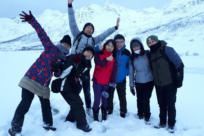 Fjord, Mountain and Wildlife Tour - Wildlife chances: wild reindeer, seals, and the patience game