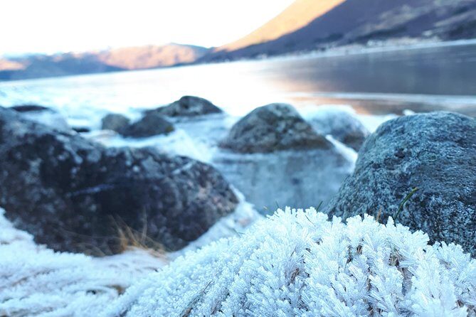 Fjord, Mountain and Wildlife Tour - Comfort on cold stops: thermal suites, hot drinks, and what to bring