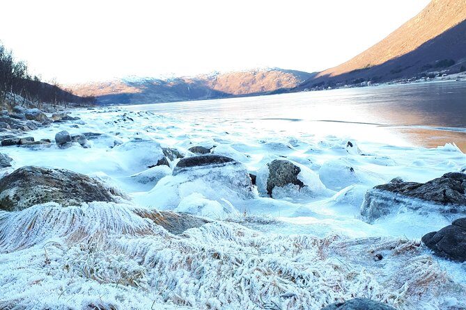 Fjord, Mountain and Wildlife Tour - Weather is the boss in Tromsø