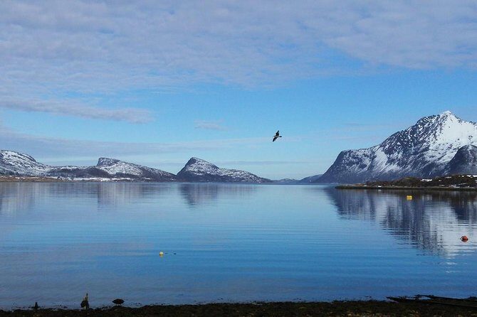 Fjord, Mountain and Wildlife Tour - Meeting point, pickup rhythm, and how the day flows