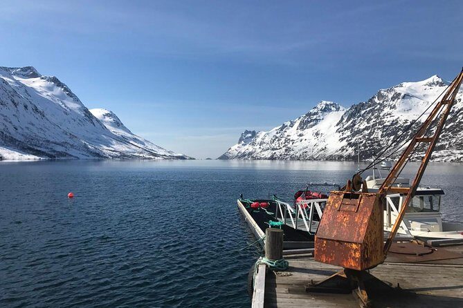 Fjord Sightseeing - Eco friendly Tesla Model X - Key Things to Know Before You Go