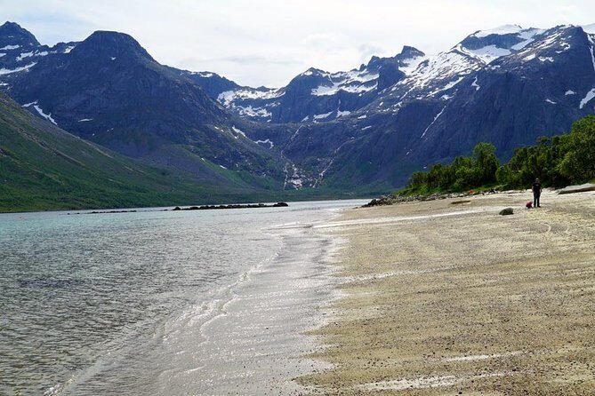 Fjord Sightseeing - Eco friendly Tesla Model X - Price and Value: What $171.16 Buys You (and What It Doesn’t)