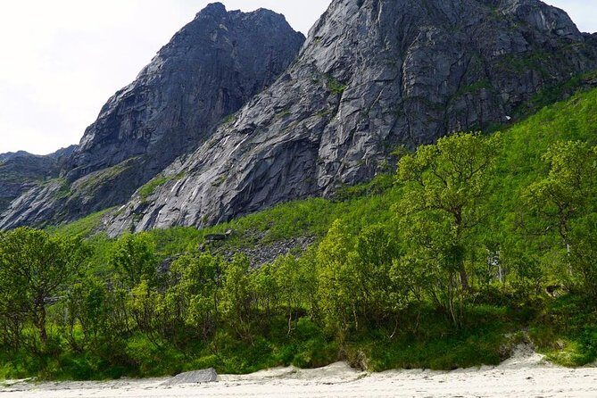 Fjord Sightseeing - Eco friendly Tesla Model X - Who This Fjord Sightseeing Tour Fits Best