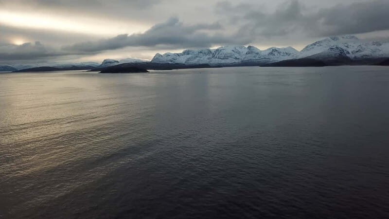 From Tromsø: All-Inclusive Whale & Orca Safari - Who this tour fits best, and who should sit this one out