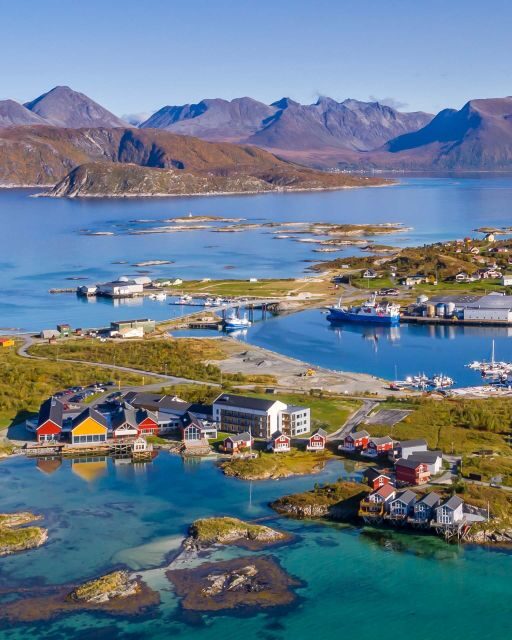 From Tromsø: Arctic Wildlife & Fjord Sightseeing Tour by Car - Kattfjorden and the Drive Rhythm: How the Day Stays Relaxed