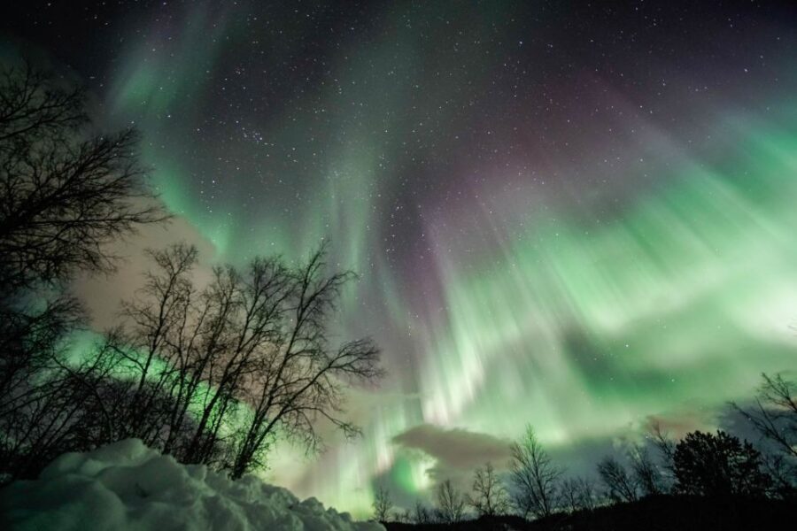 From Tromsø: Aurora Borealis Tour - Weather expectations: how to set yourself up for a good night