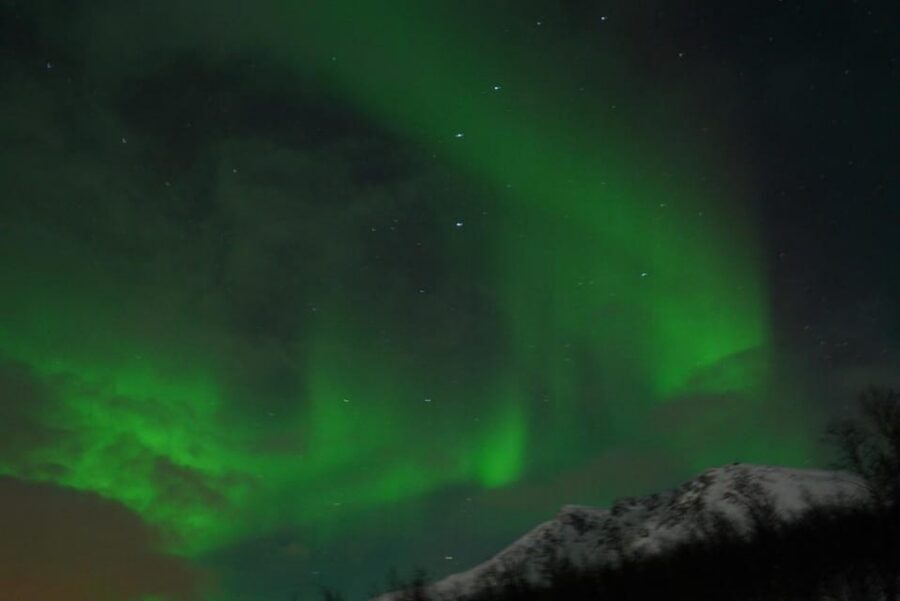 From Tromsø: Aurora Bus Tour with Snacks, Photos, and Drinks - Food, drinks, and the small rules that keep the night smooth