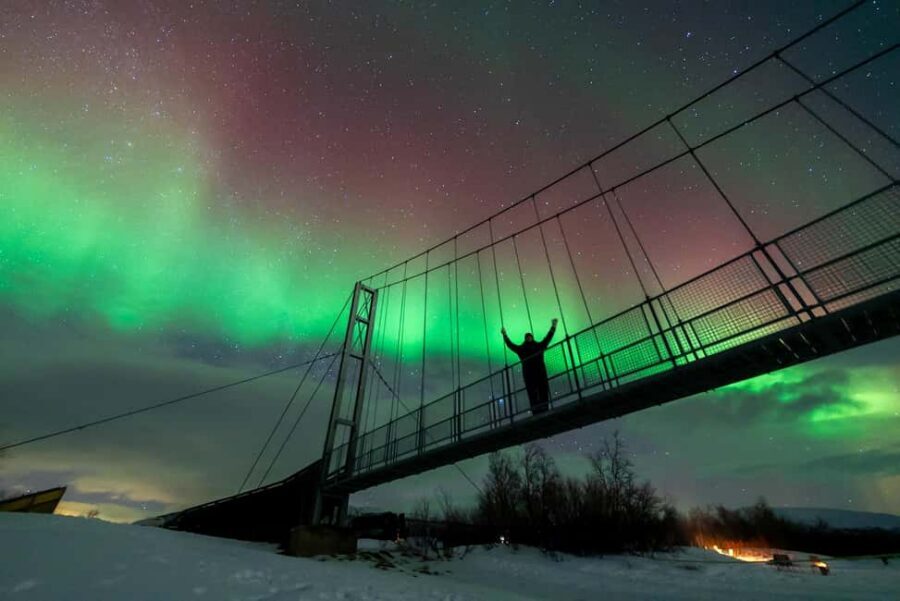 From Tromsø: Aurora Minibus Chase with Portrait and Hot Meal - Key things that make this aurora chase worth your time