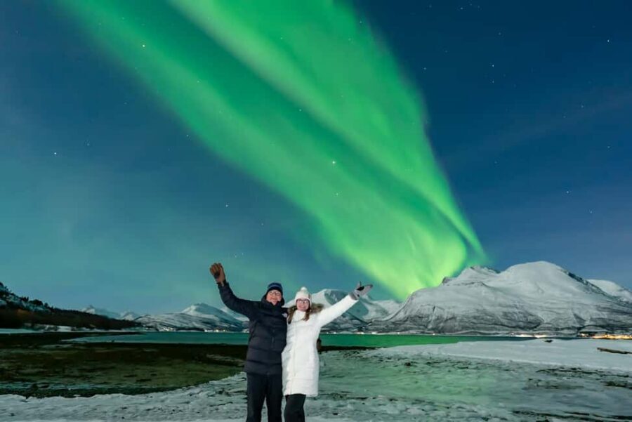 From Tromsø: Aurora Minibus Chase with Portrait and Hot Meal - Price and value: what $205 buys you in the Arctic