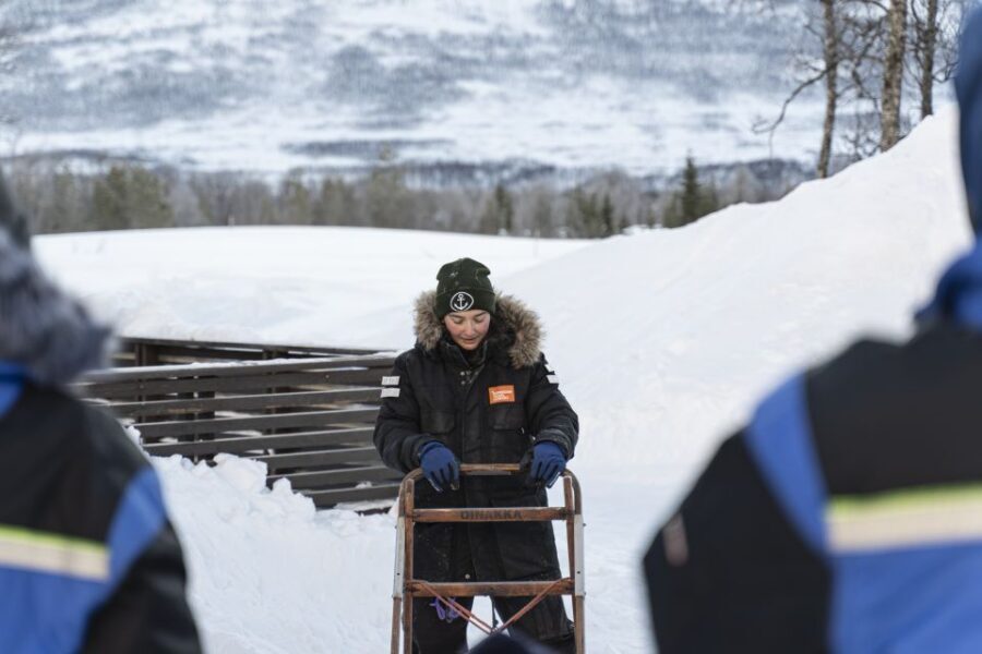 From Tromsø: Fun and Easy Dog Sledding Adventure - Key highlights you’ll actually care about