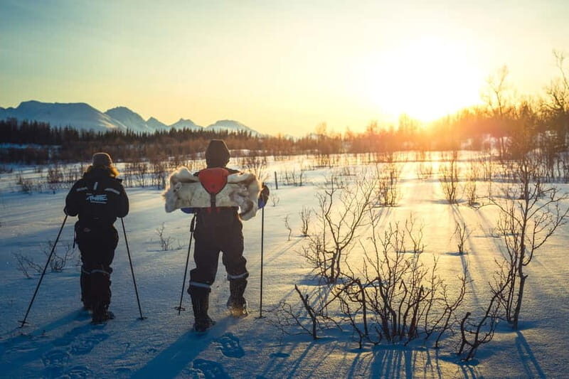 From Tromsø: Guided Husky Snowshoe Hike and Husky Camp Visit - Snowshoe Walking Course: Easy Terrain, Real Effort, and Why Guides Matter