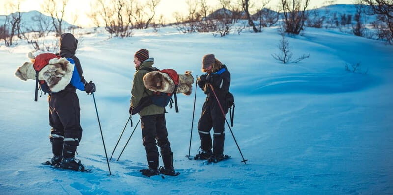 From Tromsø: Guided Husky Snowshoe Hike and Husky Camp Visit - What’s Included (and What You Must Bring) for a Smooth Day
