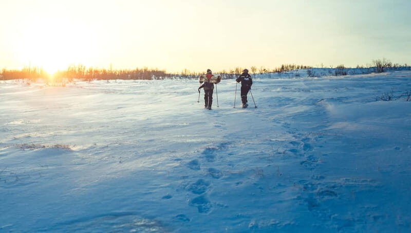 From Tromsø: Guided Husky Snowshoe Hike and Husky Camp Visit - Guides and Group Vibe: English Explanations and Hands-On Dog Time