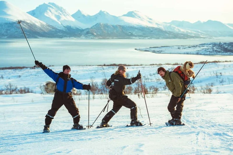 From Tromsø: Guided Husky Snowshoe Hike and Husky Camp Visit - Price and Value: Is $175 Worth It for a 5-Hour Husky Day?