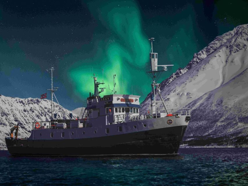 From Tromsø: Northern Lights Cruise on a Cozy Vintage Vessel - Key things I’d watch for before you go
