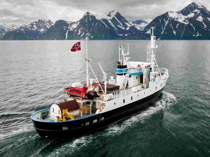 From Tromsø: Northern Lights Cruise on a Cozy Vintage Vessel - From Full Steam Tromsø to the MS Strønstad: how the evening starts