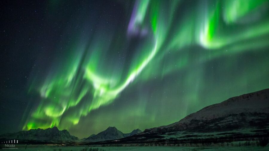 From Tromsø: Northern Lights Tour - Chasing the Northern Lights from Tromsø: a hunt with a plan