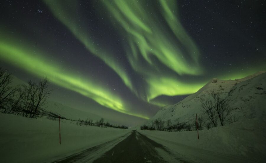 From Tromsø: Northern Lights Tour - Who this tour suits best (and who should skip)