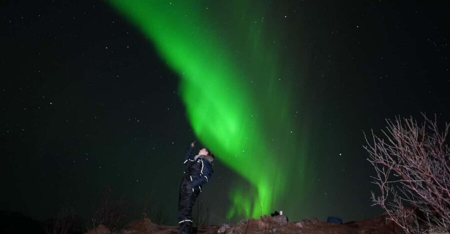 From Tromsø: Northern Lights Tour with Hot Drinks and Photos - Key highlights you’ll care about
