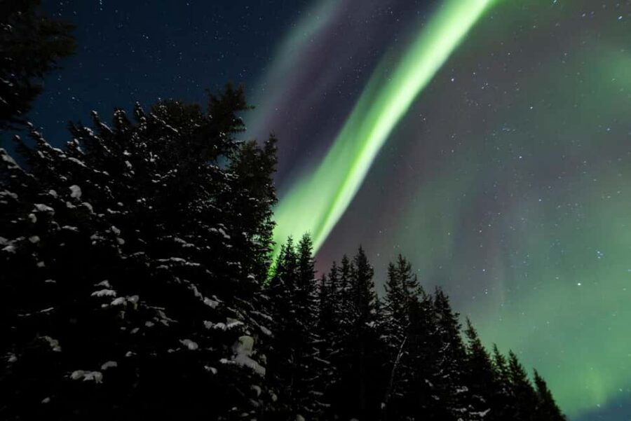 From Tromsø: Northern Lights Visit at Camp Tamok - The viewing walk: how the evening shifts when weather changes