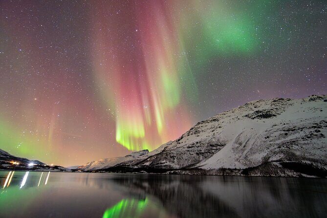 From Tromsø: OFFICIAL Northern Lights Safari by Minibus - Key things that make this tour worth your time