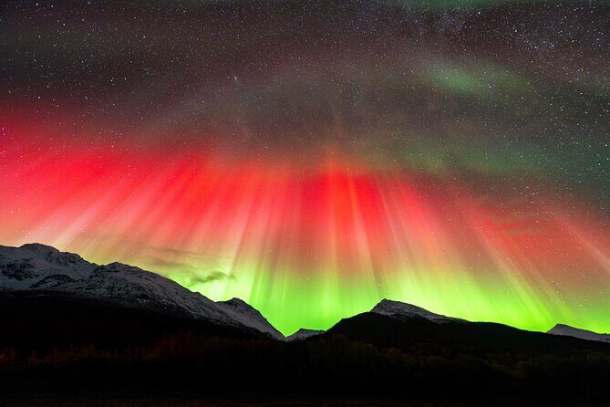 From Tromsø: OFFICIAL Northern Lights Safari by Minibus - How the guides hunt for clearer skies once you’re on the road