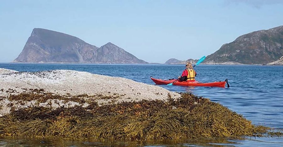 From Tromsø: Sea Kayaking Tour at Sommarøy with Transfer - Beach break on a white shore: warm drink plus tidal-zone time