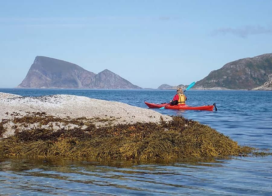 From Tromsø: Sea Kayaking Tour at Sommarøy with Transfer - Wildlife spotting, but with good safety habits
